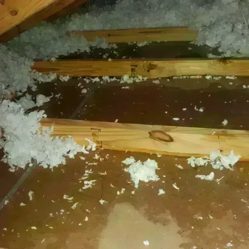 Attic Water Damage in Miami, TX