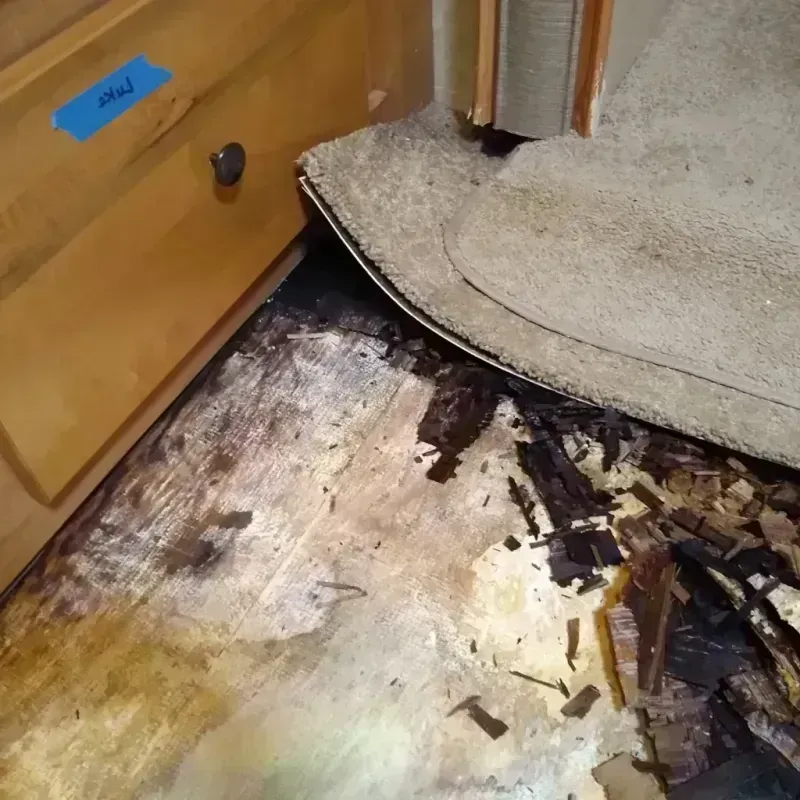 Wood Floor Water Damage in Miami, TX